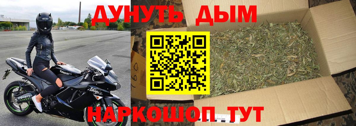 Конопля индика Дербент